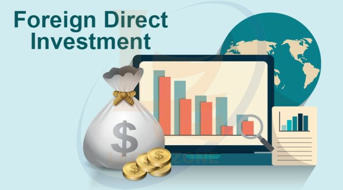 HAI HÌNH THỨC PHỔ BIẾN KHI DOANH NGHIỆP FDI ĐẦU TƯ VÀO VIỆT NAM